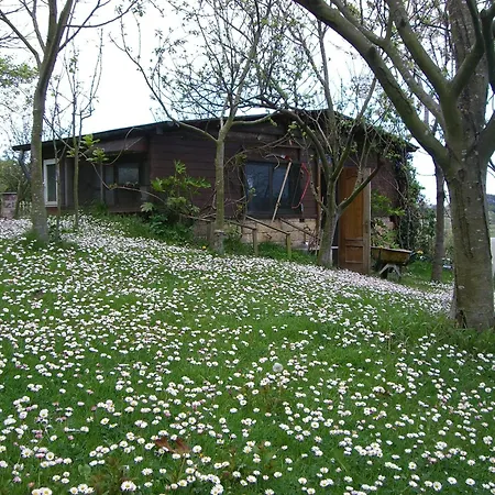 Rural La Curva Ribadesella Sardalla